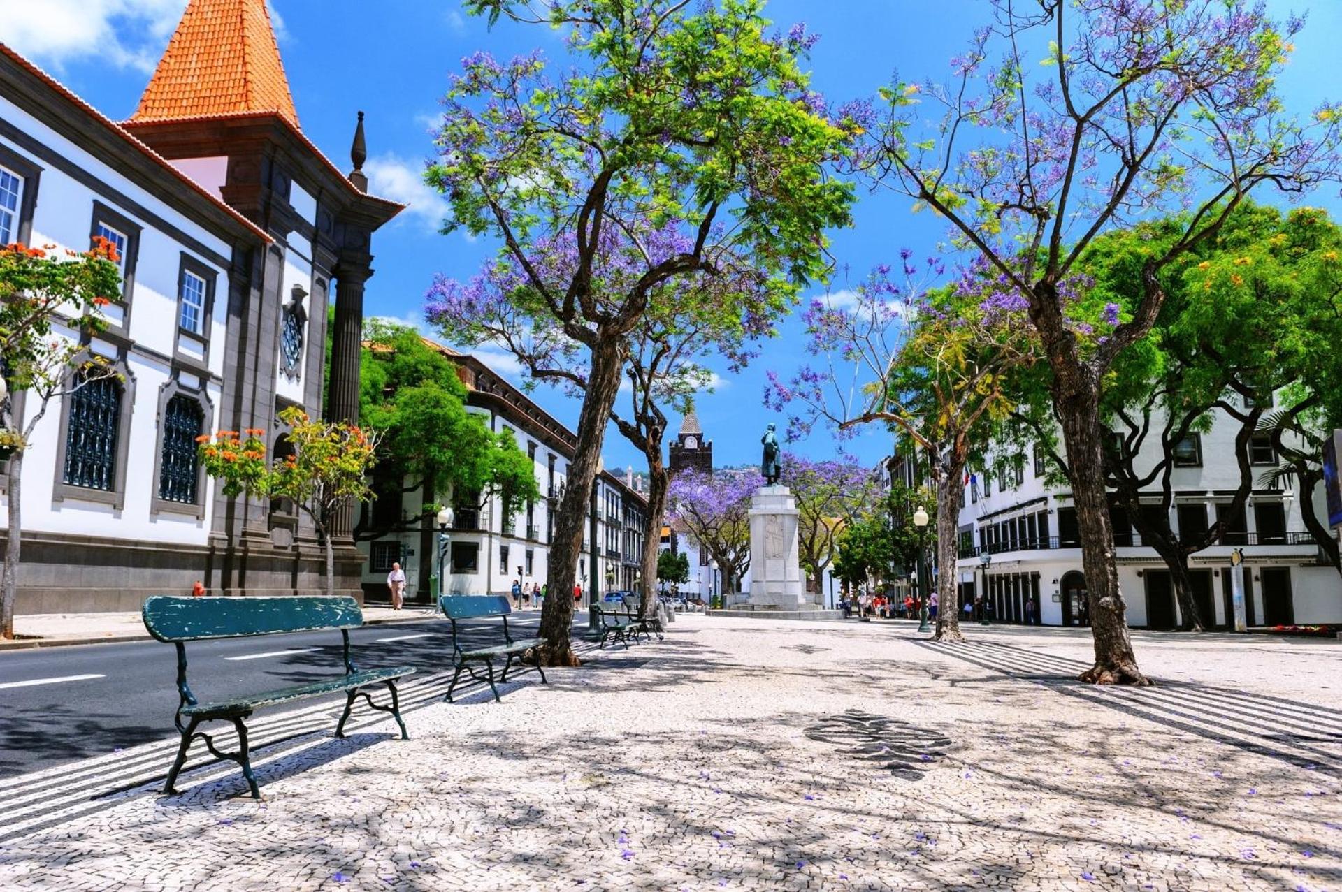 Barreirinha Front-line Sea View I By Hr Madeira Apartamento